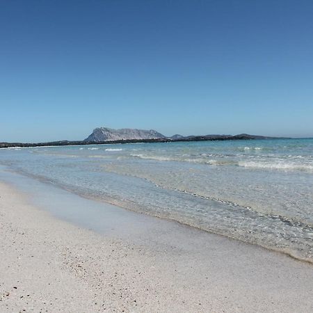 Vista Sul Mare E Tavolara Budoniaffitti ปอร์โตซานเปาโล ภายนอก รูปภาพ