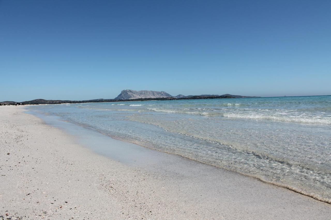 Vista Sul Mare E Tavolara Budoniaffitti ปอร์โตซานเปาโล ภายนอก รูปภาพ